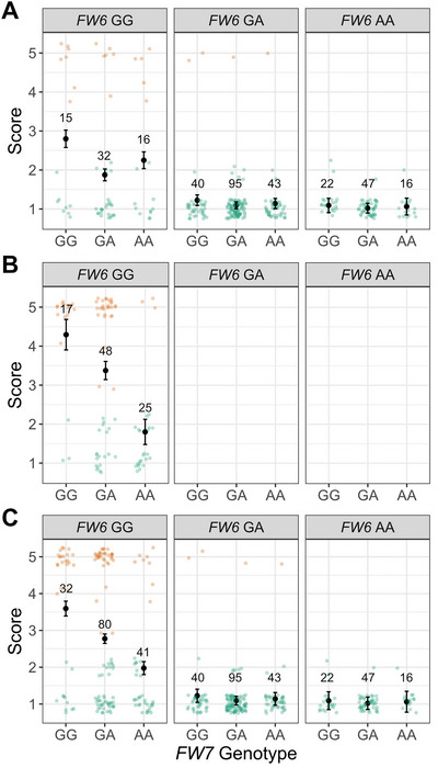 FIGURE 4
