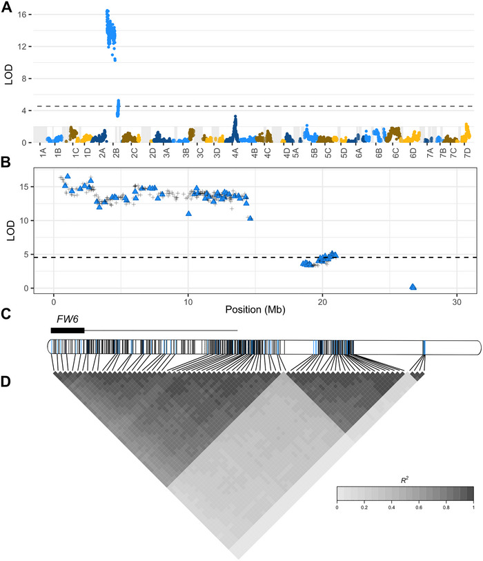 FIGURE 2