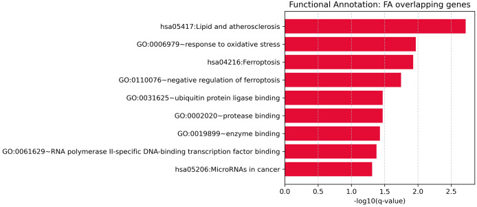 Figure 4