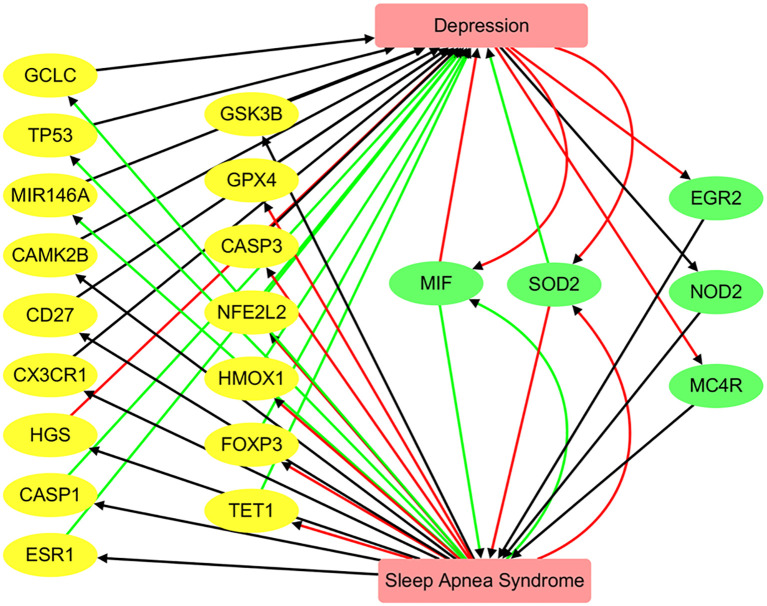 Figure 5