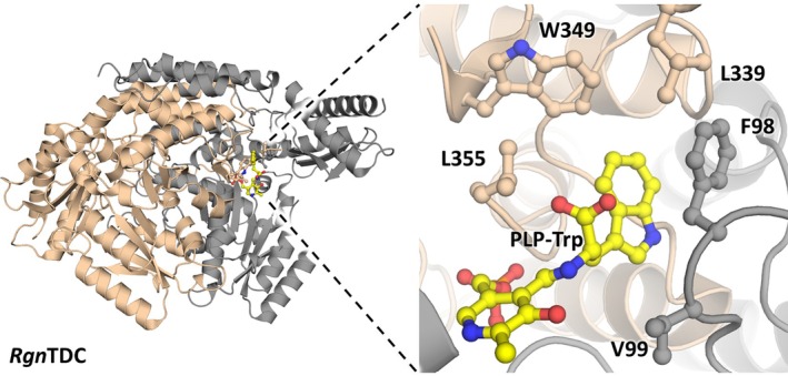 FIGURE 4