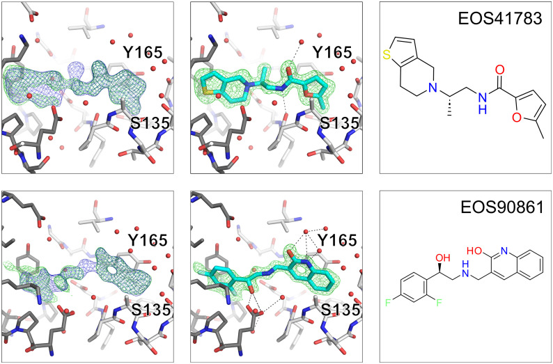Fig. 10