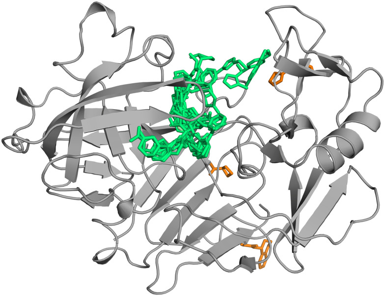 Fig. 2