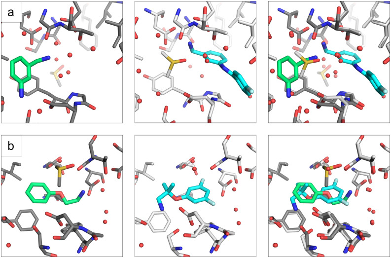 Fig. 6