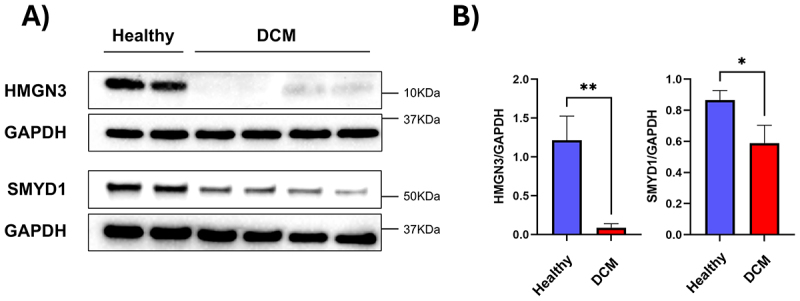 Figure 9