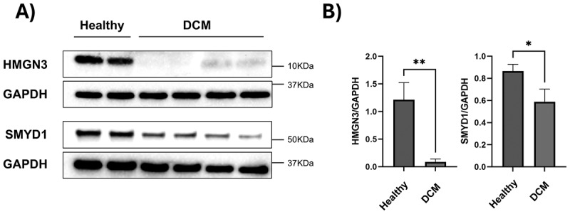 Figure 10