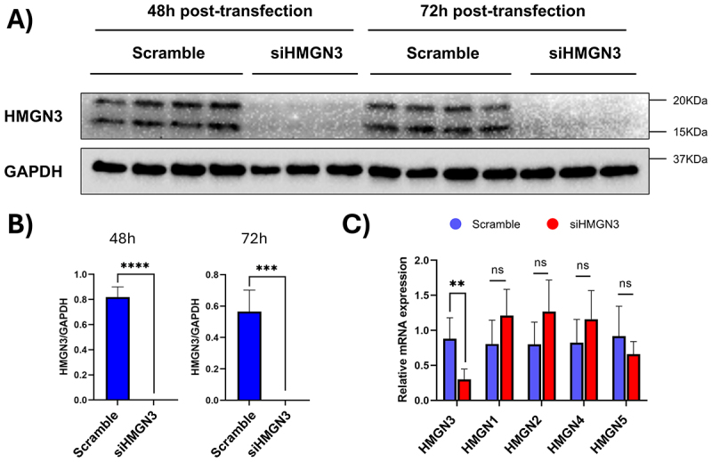 Figure 15