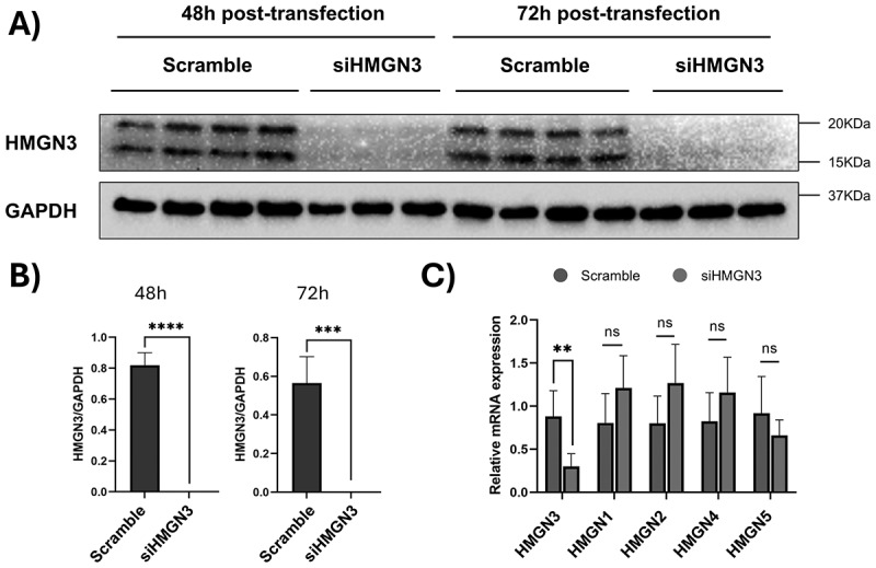 Figure 16