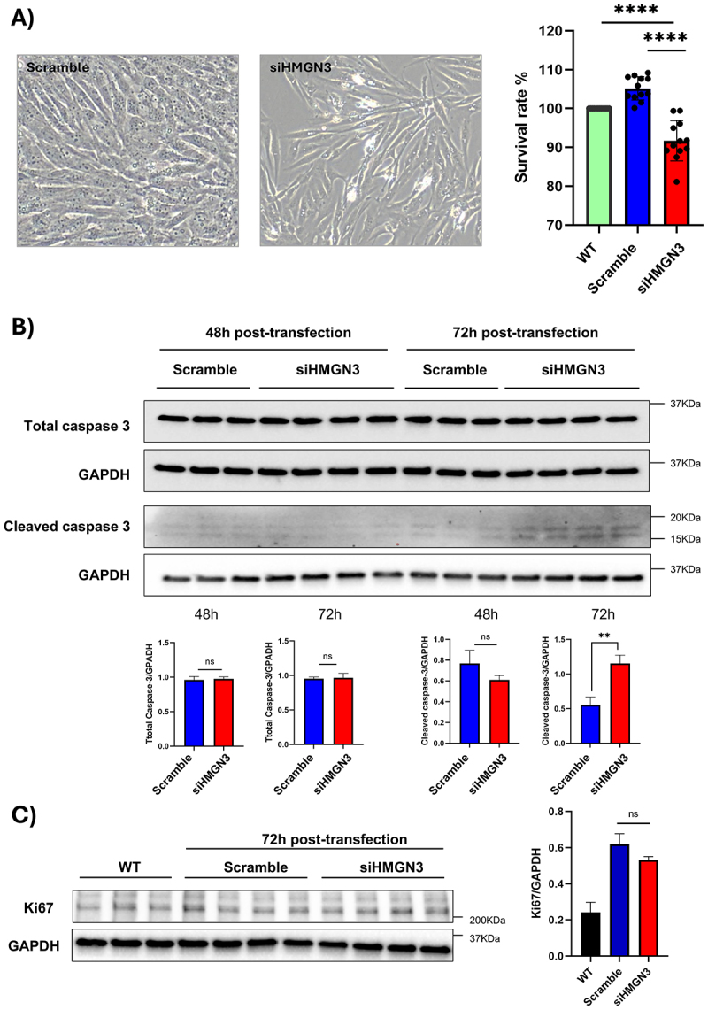 Figure 17