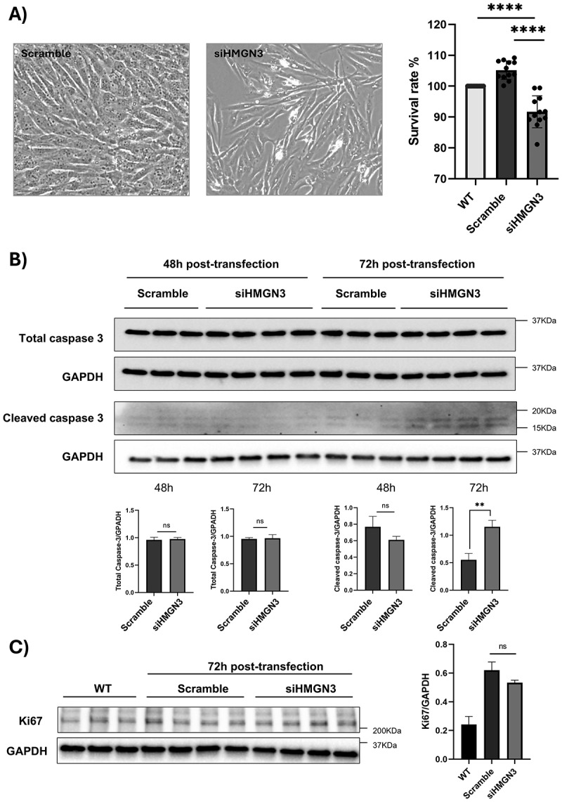 Figure 18