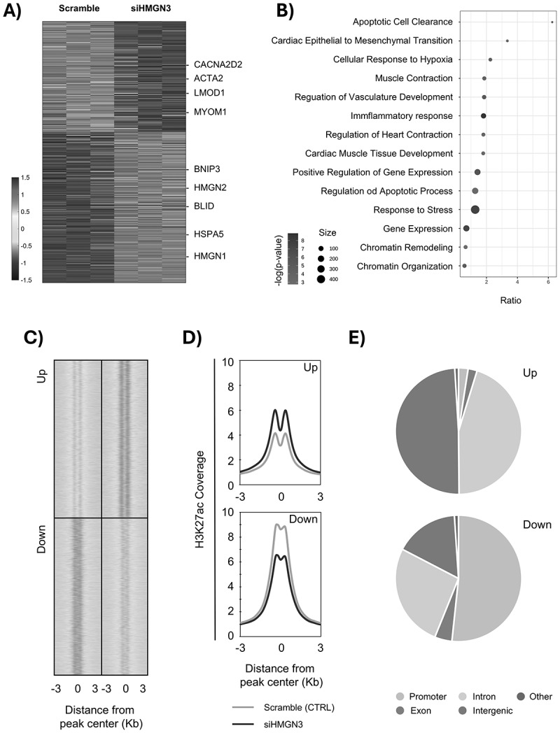 Figure 20