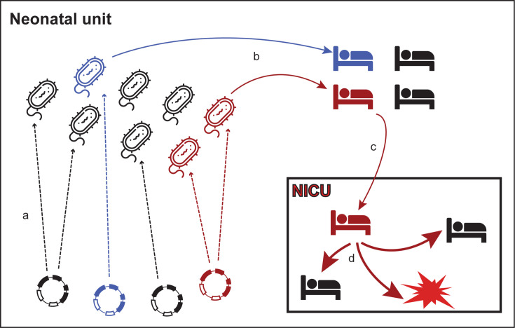 Fig 6