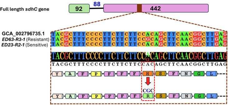 Fig 3