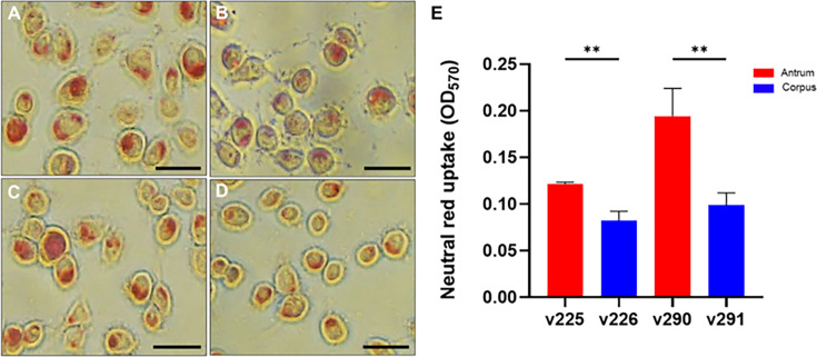 Fig 6