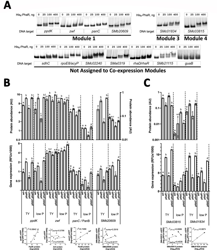 Fig 8