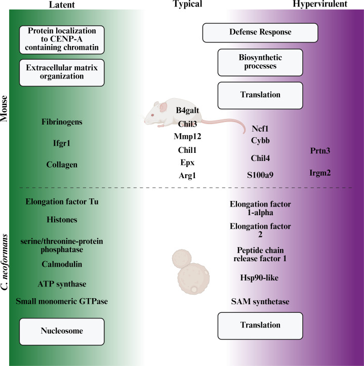 Fig 11