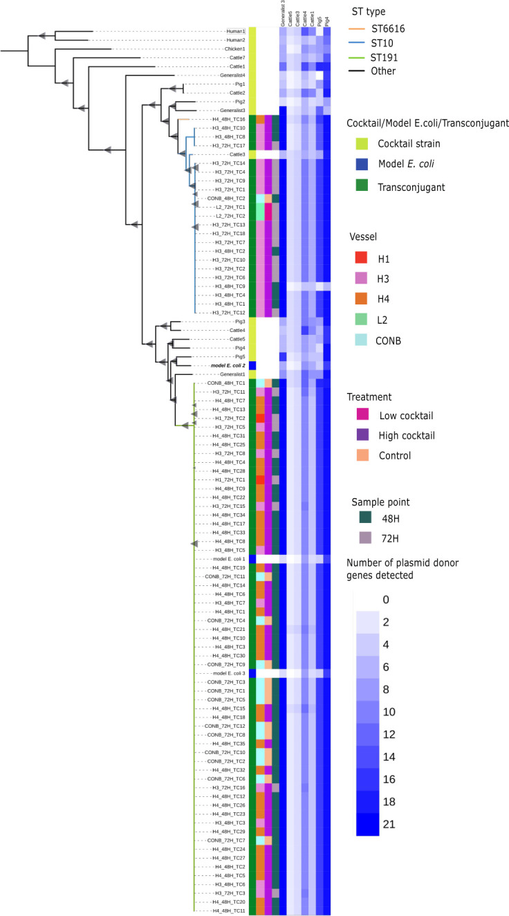 Fig 4