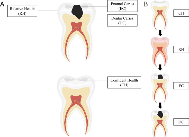 Fig 6