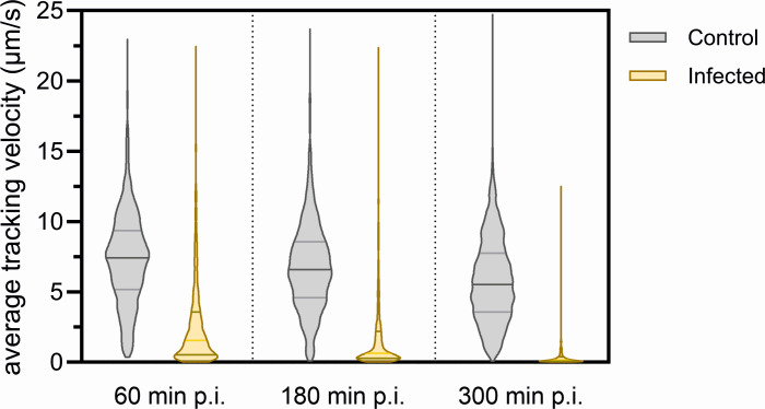 Fig 8