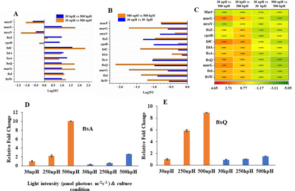 Fig 6