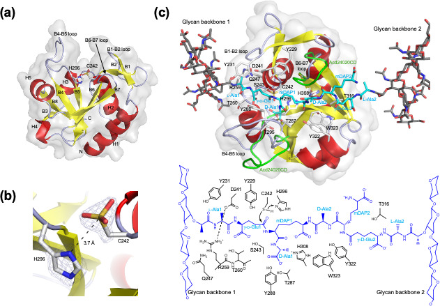 Fig 4