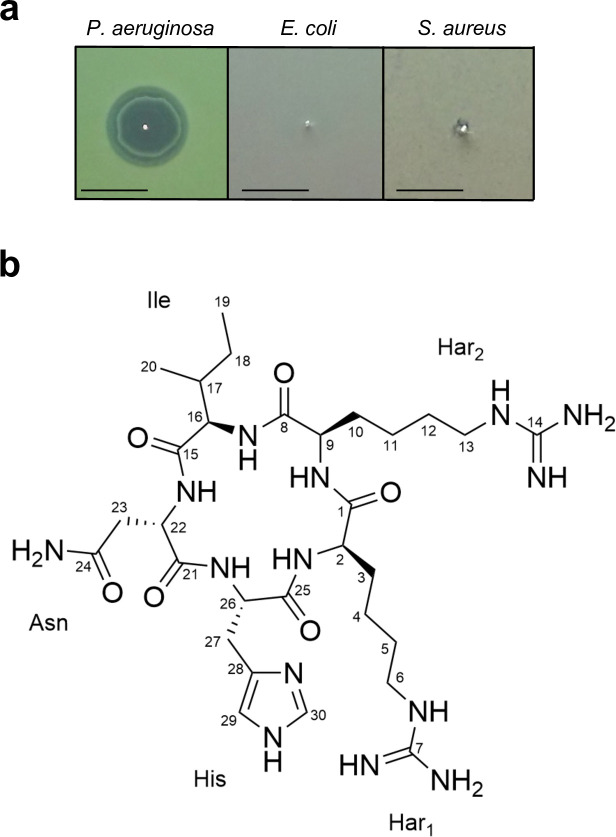 Fig 1