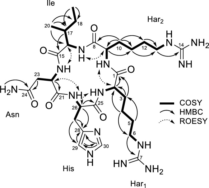 Fig 2