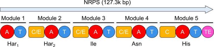 Fig 3