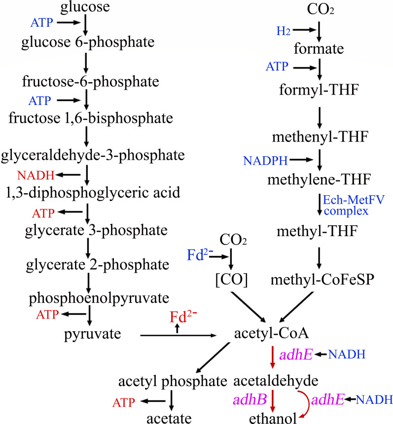 Fig 4