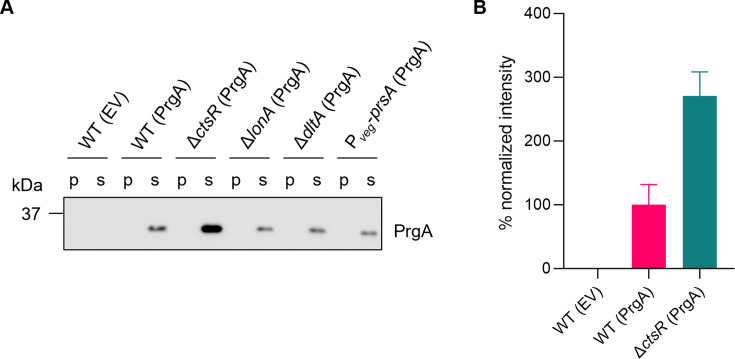 Fig 4