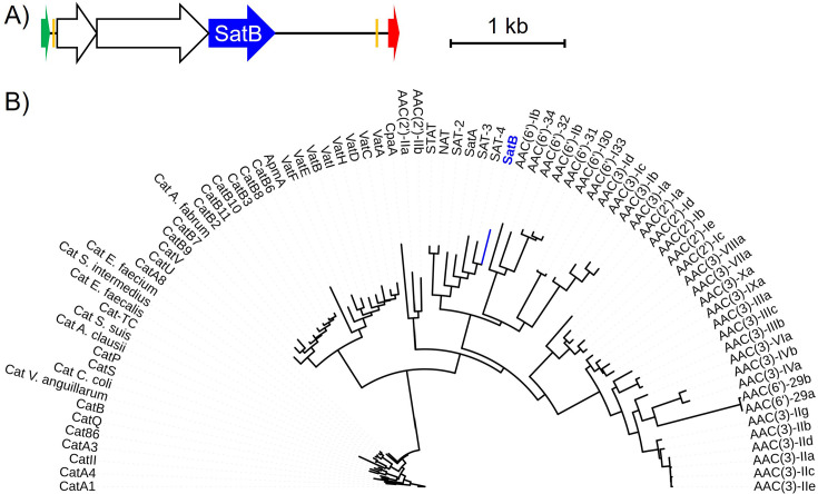 Fig 4