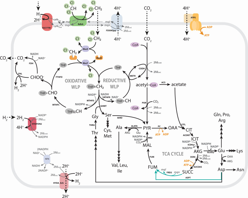 Fig 2