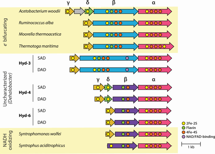 Fig 4