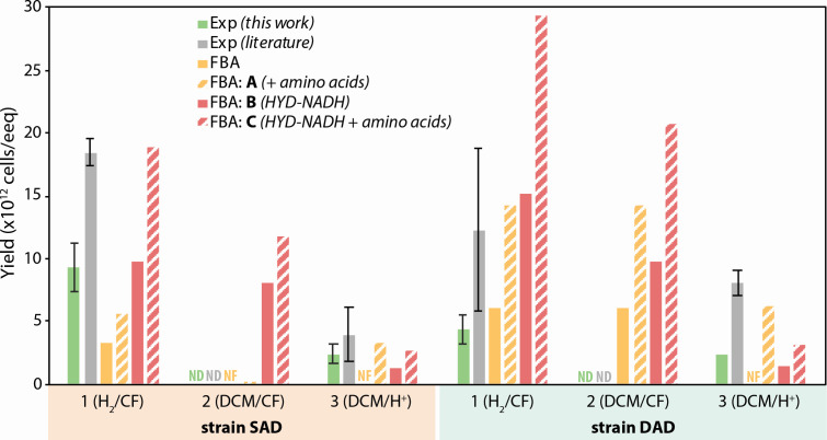Fig 5