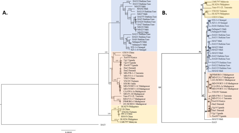 Fig 1