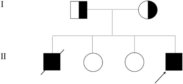FIGURE 1