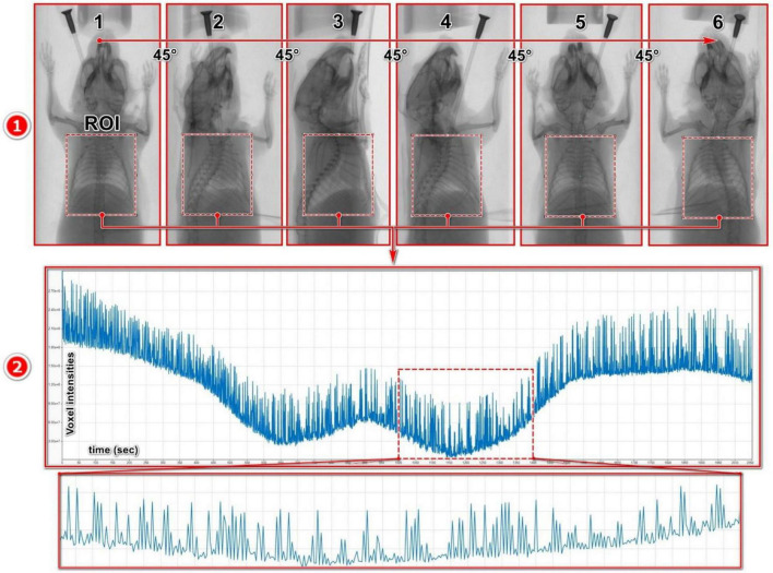 FIGURE 2