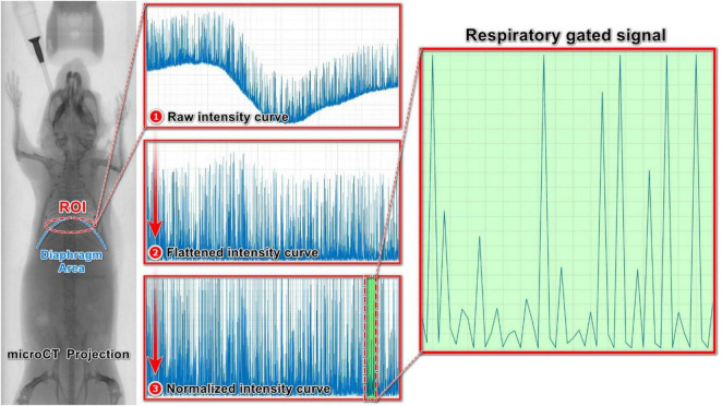 FIGURE 3