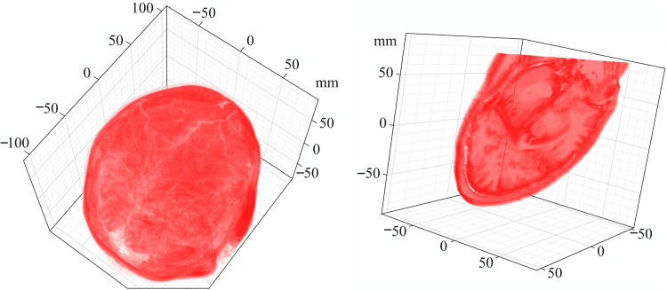 Fig. 5