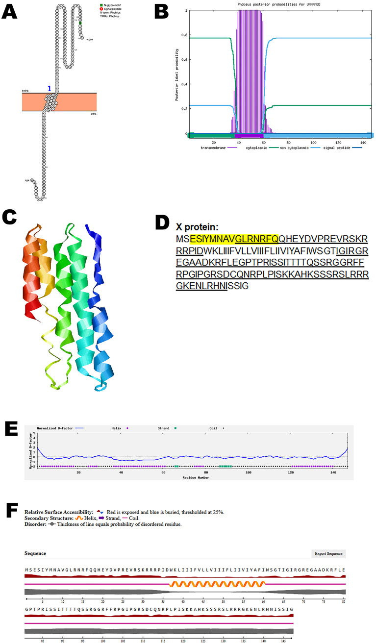 Fig 3