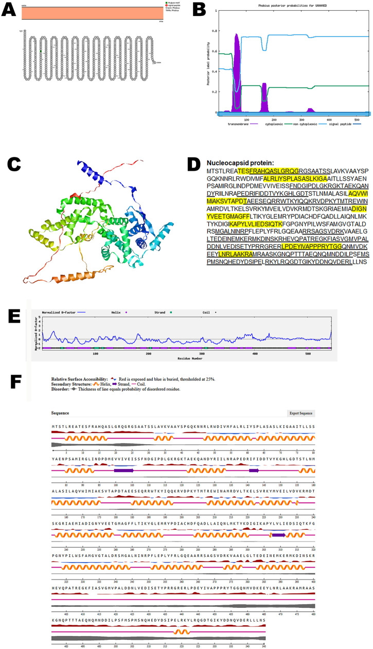 Fig 6