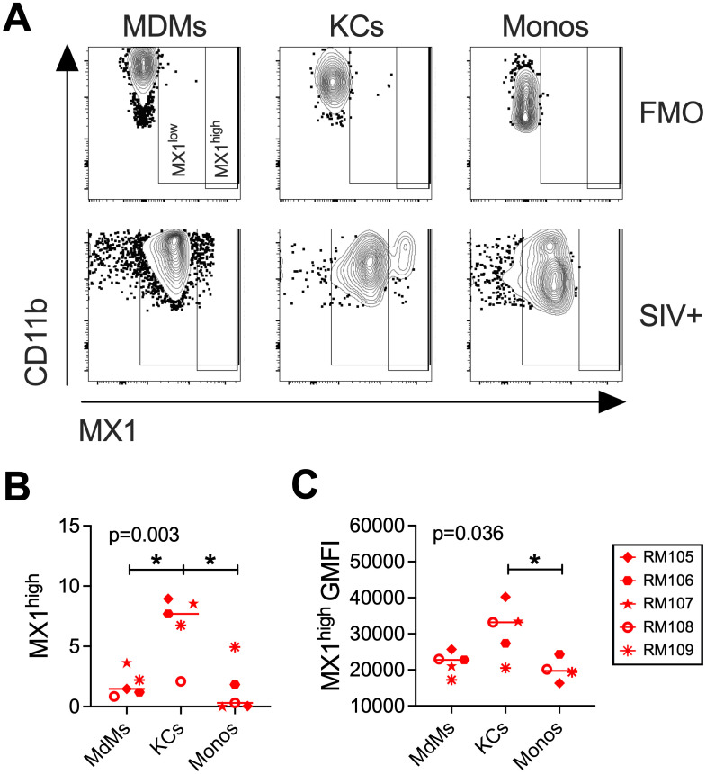 Fig 6