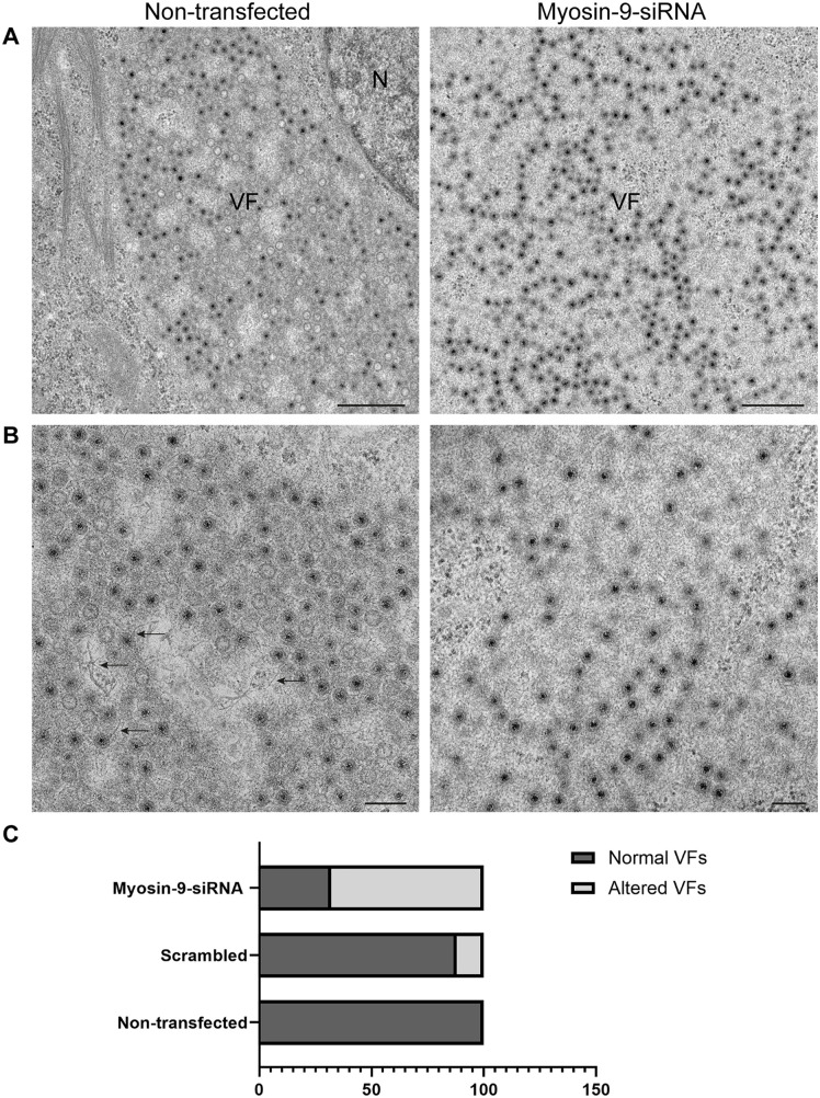 Fig 10