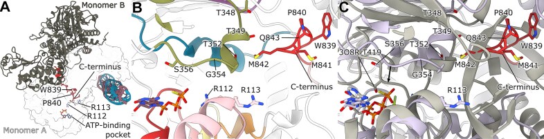 Figure 5