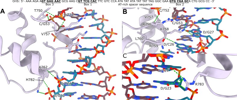 Figure 6