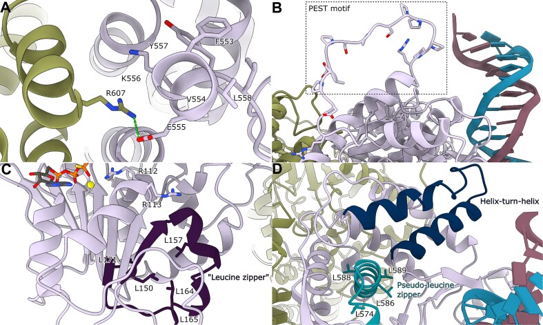 Figure 7