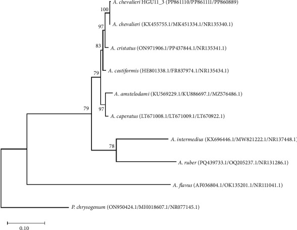 Figure 2