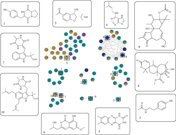 Figure 5