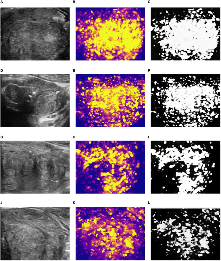 Figure 2