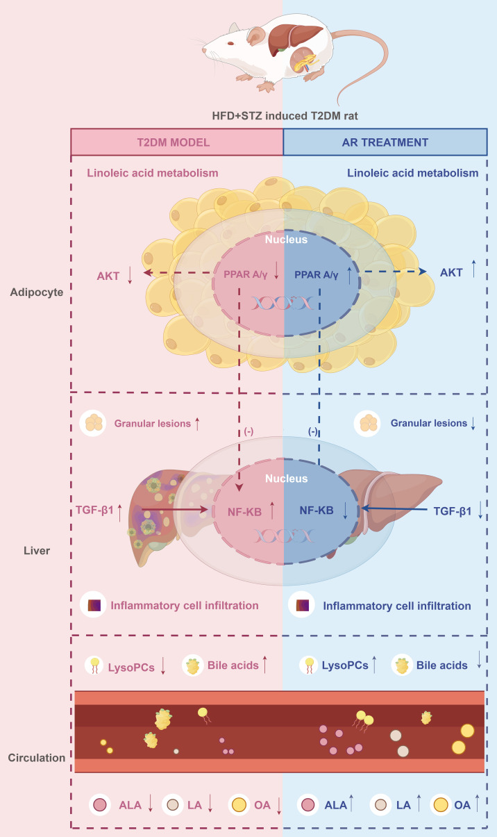 Figure 7